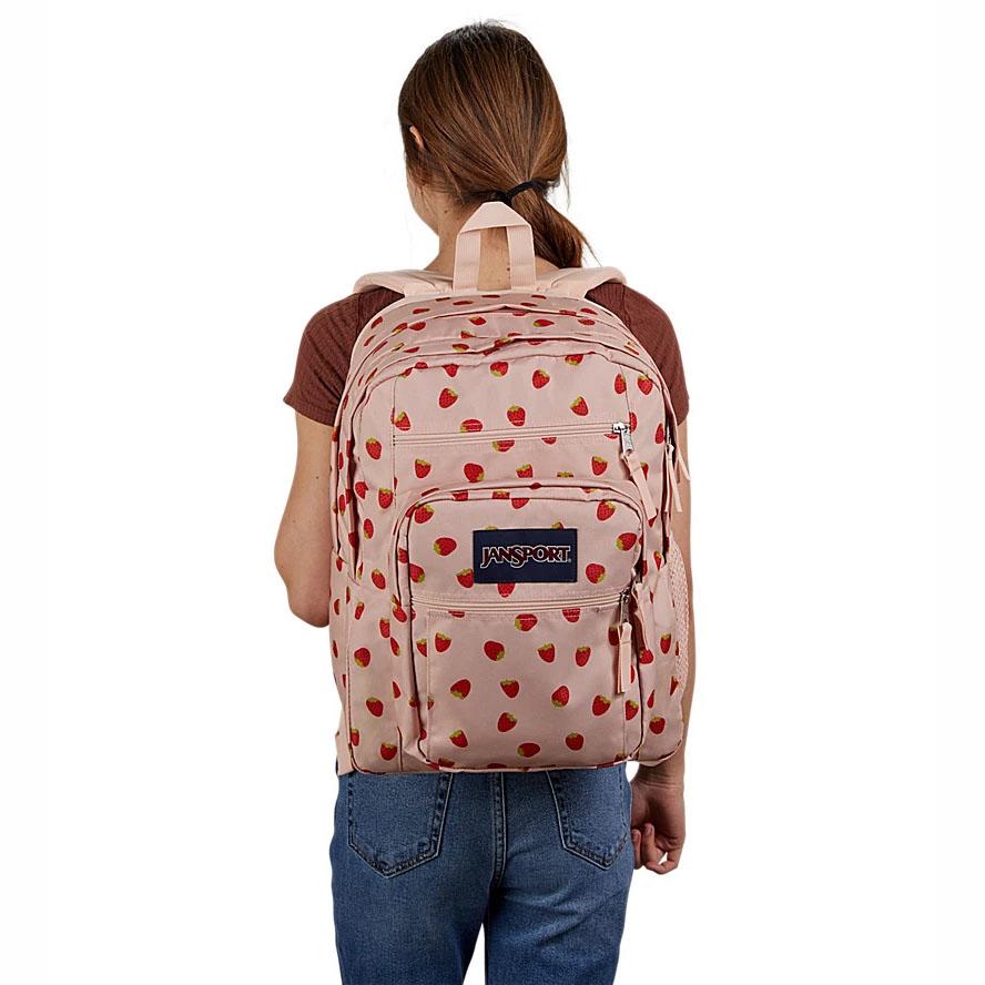 Sac à Dos Ordinateur JanSport BIG STUDENT Rose | YGW-03934061